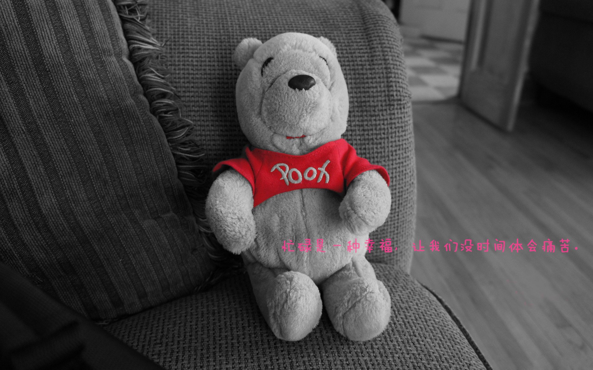 “足球场地建设提速，为全民运动提供硬件保障”，足球场的建设