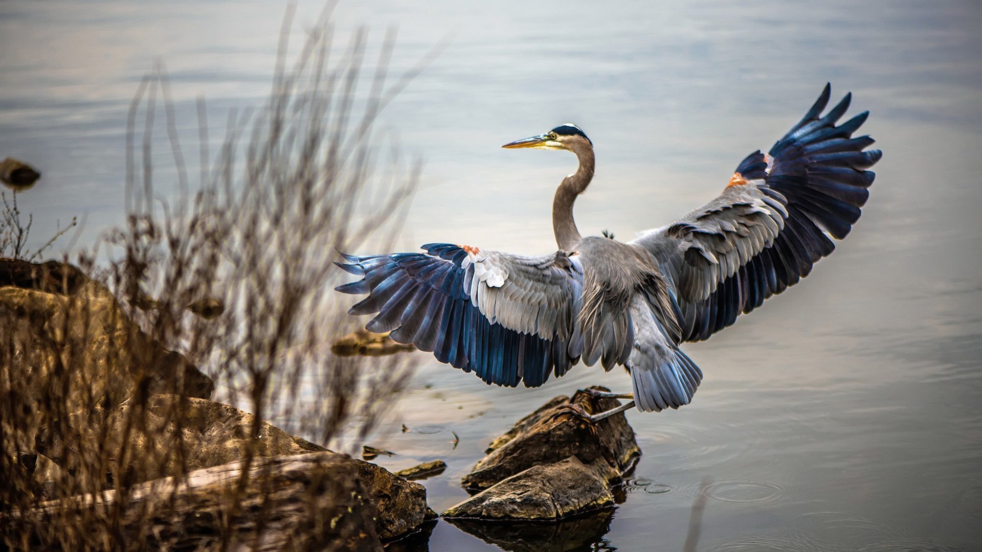 九游(jiuyou)官方网站-【裁判新装备】传感器与高清摄像，确保每一球都公正！，比赛传感器