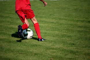 九游娱乐(jiuyou)官方网站-足球场馆数字化管理平台正式上线，提升运营效率，足球场管理系统app